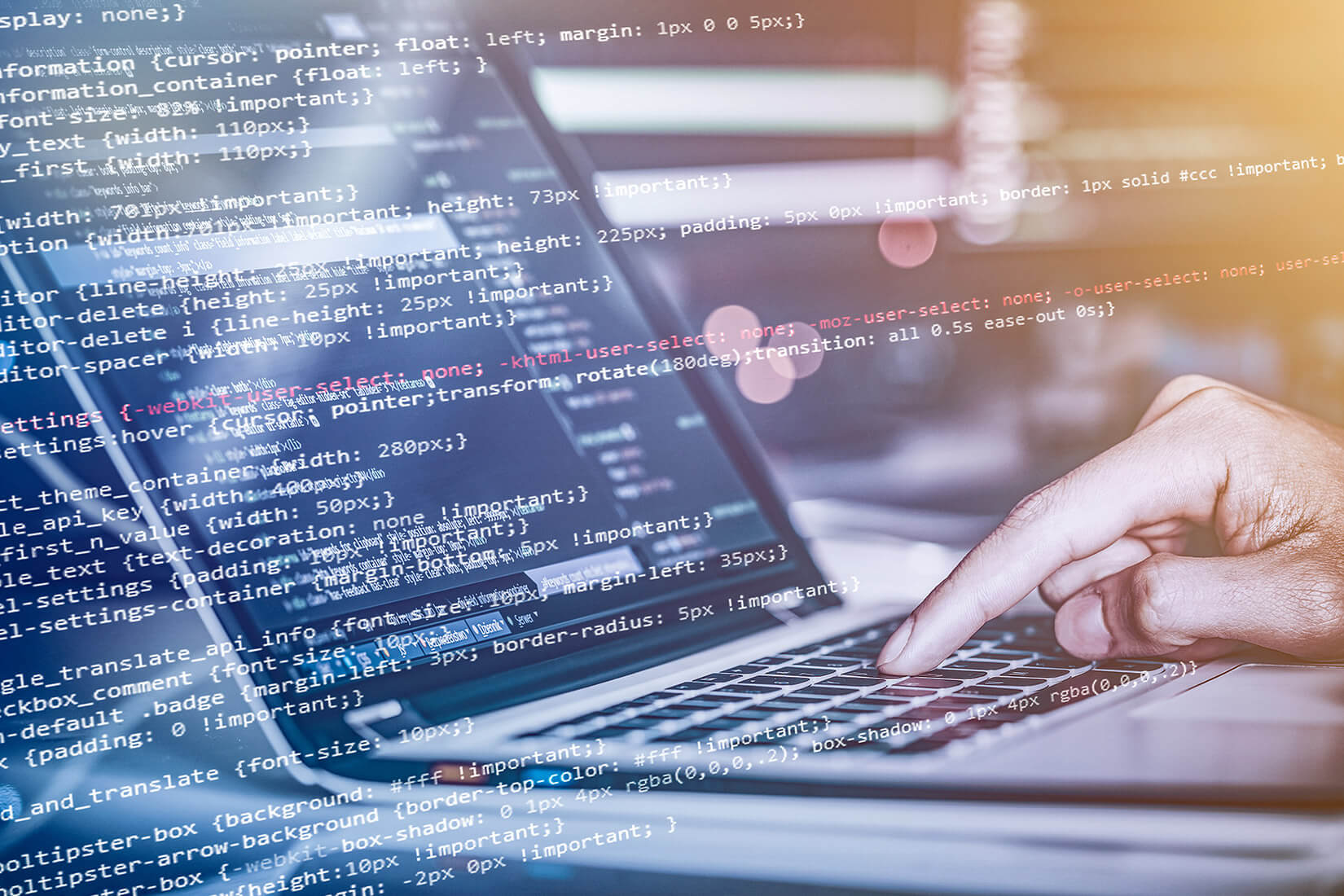 Ağ Sertifikaları ve Eğitim Programları